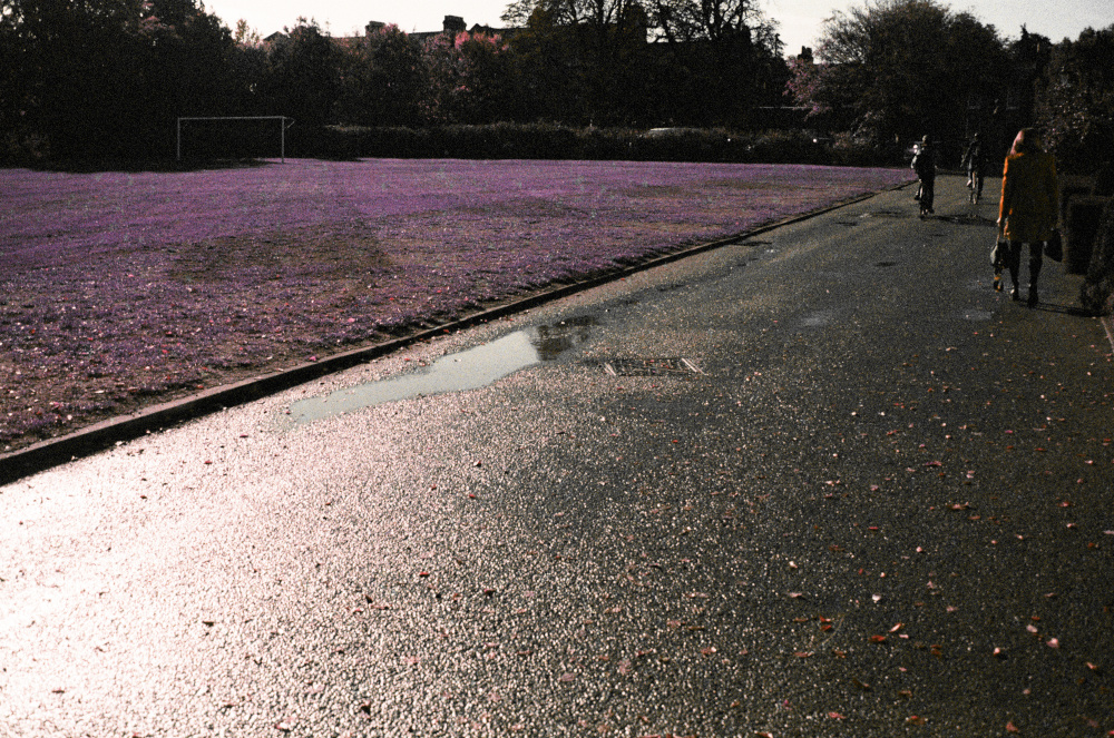 Copyright Emily Boarer 2022