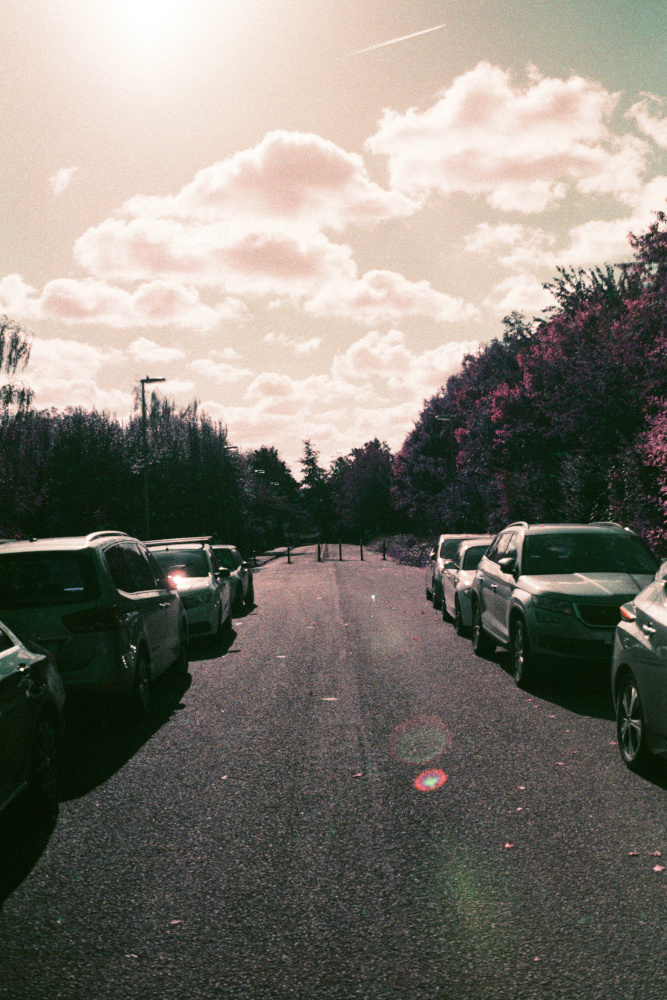 Copyright Emily Boarer 2022