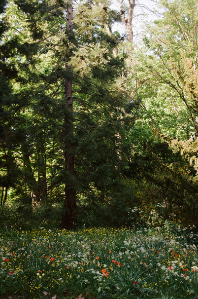 nature.jpg | Copyright Emily Boarer 2022